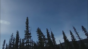 First time with Gyroflow in the forest - Runcam 5 Orange