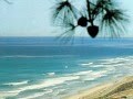 渚の別れ　ポール・モーリア　Paul Mauriat　 Adieu l'été, adieu la plage