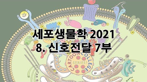 2021 세포생물학 chapt 8 신호전달 7