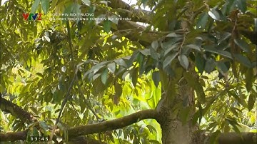 Mô hình nông nghiệp thích ứng với biến đổi khí hậu