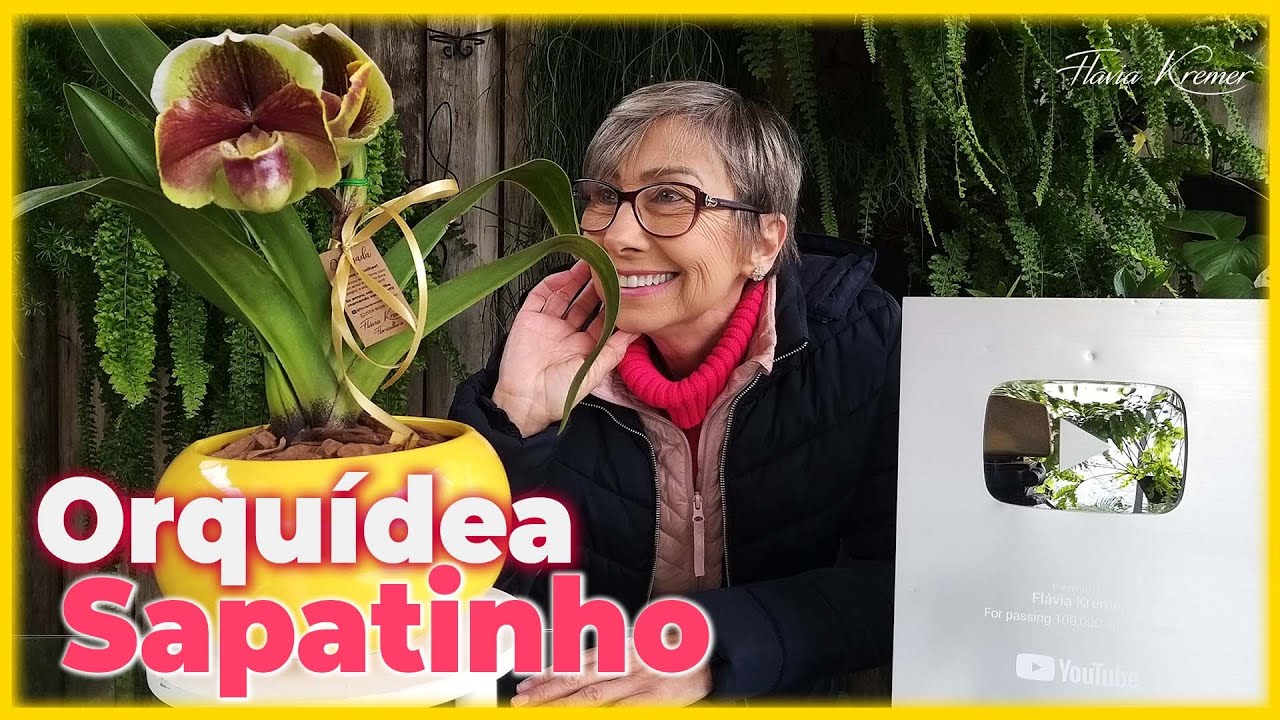 Orquídea Paphiopedilum (Sapatinho) como cuidar | Flávia Kremer - thptnganamst.edu.vn