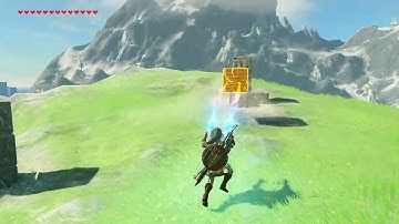 [DAY 462] of finding one korok seed everyday until Botw2 comes out