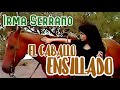 El caballo ensillado (video musical de Irma Serrano y el Dueto América) HD
