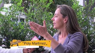 Poly Martínez - More Examples Of Postruth Before 2016