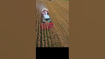 Efficient Corn Harvesting The Role of Quality Tools and Machinery #shorts #agriculturalcornharvester