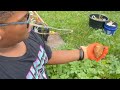 Harvest potatoes with me!