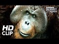Dawn of the Planet of the Apes | &#39;Hanging Out&#39; | Clip HD
