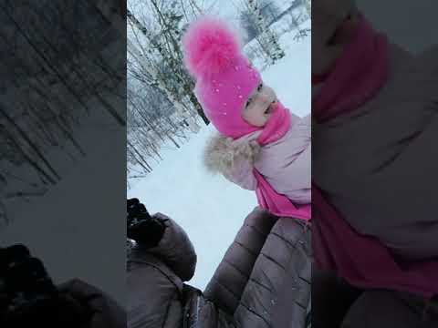 Покатушки на санях