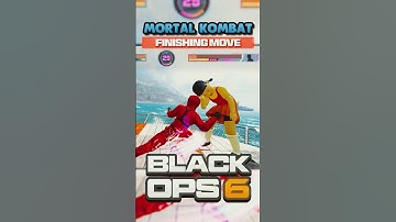 The Mortal Kombat Finishing Move 👀