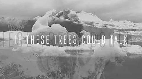 If These Trees Could Talk  - The Bones of a Dying World  - Full Album