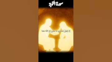 لا تحزن ان الله معنا #سورة_التوبة #قصص_الأنبياء #قصص_من_القرآن #قران_كريم #المصحف #اكسبلور