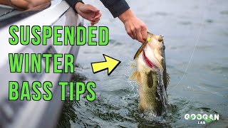 Top 5 Baits For Late Winter Bass Fishing! 