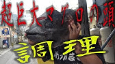 大暴れ 生きたオオウナギを捌いて食べる 毒ウナギ Youtube 大暴れ 生きたオオウナギを捌いて食べる 毒ウナギ Youtube