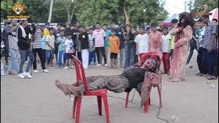 MANUSIA GRANDONG & KUNTI - SINGA DANGDUT - SINGA PURNAMA - OM SUHALI GROUP - CM PRODUCTION