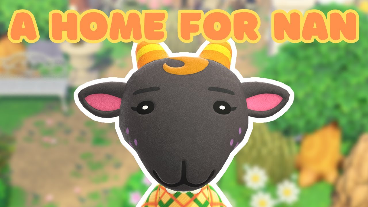  animal crossing new horizons nan s house build acnh live youtube