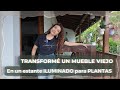 Renov un mueble viejo en una estantera iluminada para plantas de interior