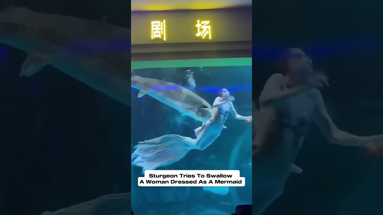 Dangerous Sturgeon Behavior Caught On Camera