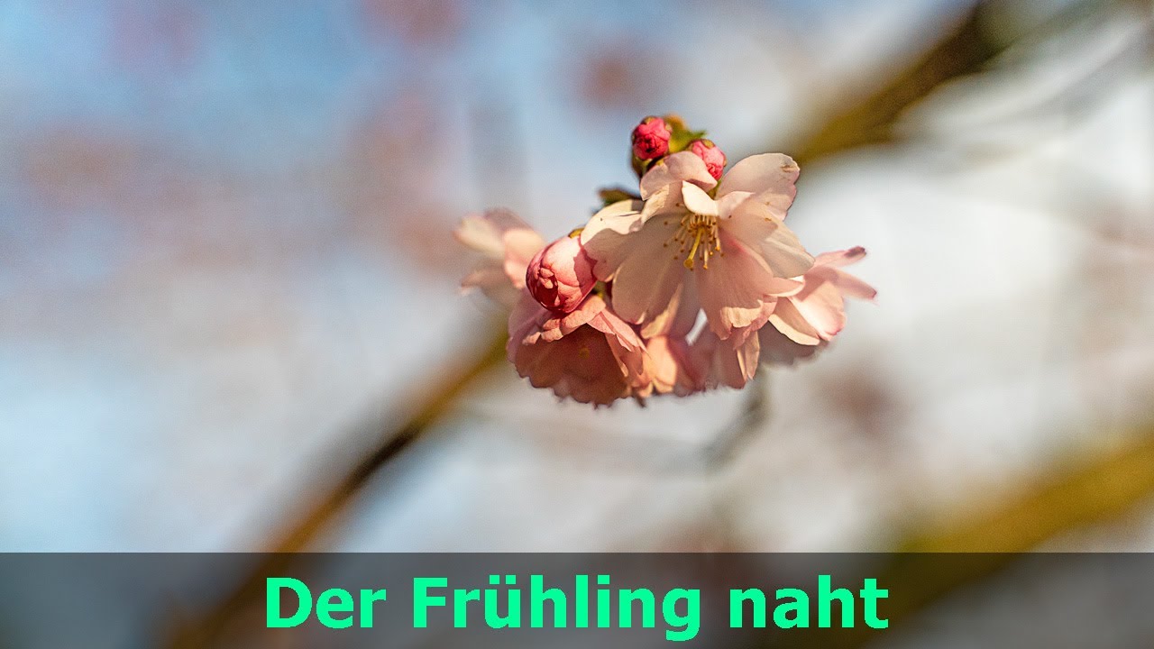 Der Frühling naht YouTube