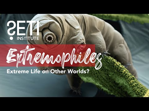 Extremophiles: Extreme Life on Other Worlds?