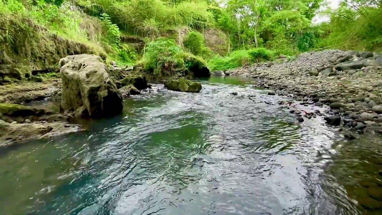 Soothing River Flow Therapy to Relieve Stress, Anxiety and Improve Sleep