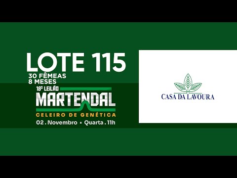 LOTE 115   30 FÊMEAS  8 MESES