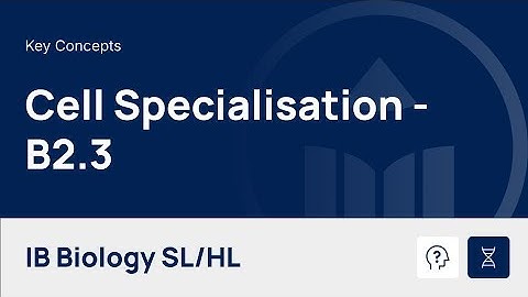 Cell Specialisation [IB Biology SL/HL]