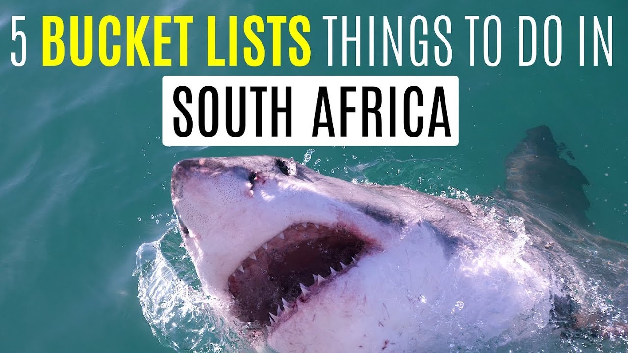 5 Bucket Lists Things to do in South Africa YouTube