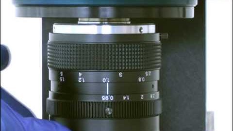 Using the Alpha Innotech HD2 to image the Q-Plex Array