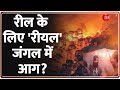Uttarakhand Jungle Fire: उत्तराखंड के चमोली में चौंकाने वाला हादसा! रील के लिए रीयल जंगल में आग?