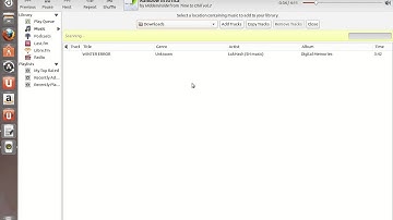 Rhythmbox Ubuntu 13.04 final