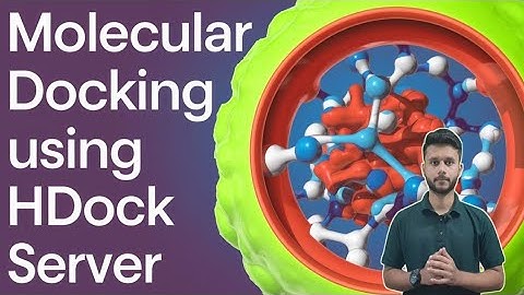 Protein - Protein docking using HDock Server !