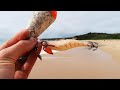 Beach Fishing Method Catches Big Squid!!