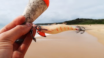 Beach Fishing Method Catches Big Squid!!