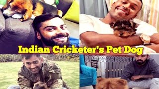 Indian Cricketer's Pet Dog by DOG tubed 24 views 1 year ago 1 minute, 22 seconds