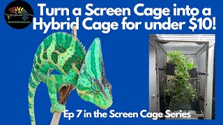 Turning your chameleon screen cage into a hybird cage!