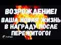 ГАДАНИЕ ТАРО ОНЛАЙН. ТАРО ДЛЯ МУЖЧИН. ГАДАНИЕ ТАРО. ВАША НОВАЯ ЖИЗНЬ. НАГРАДА ПОСЛЕ ПЕРЕЖИТОГО!