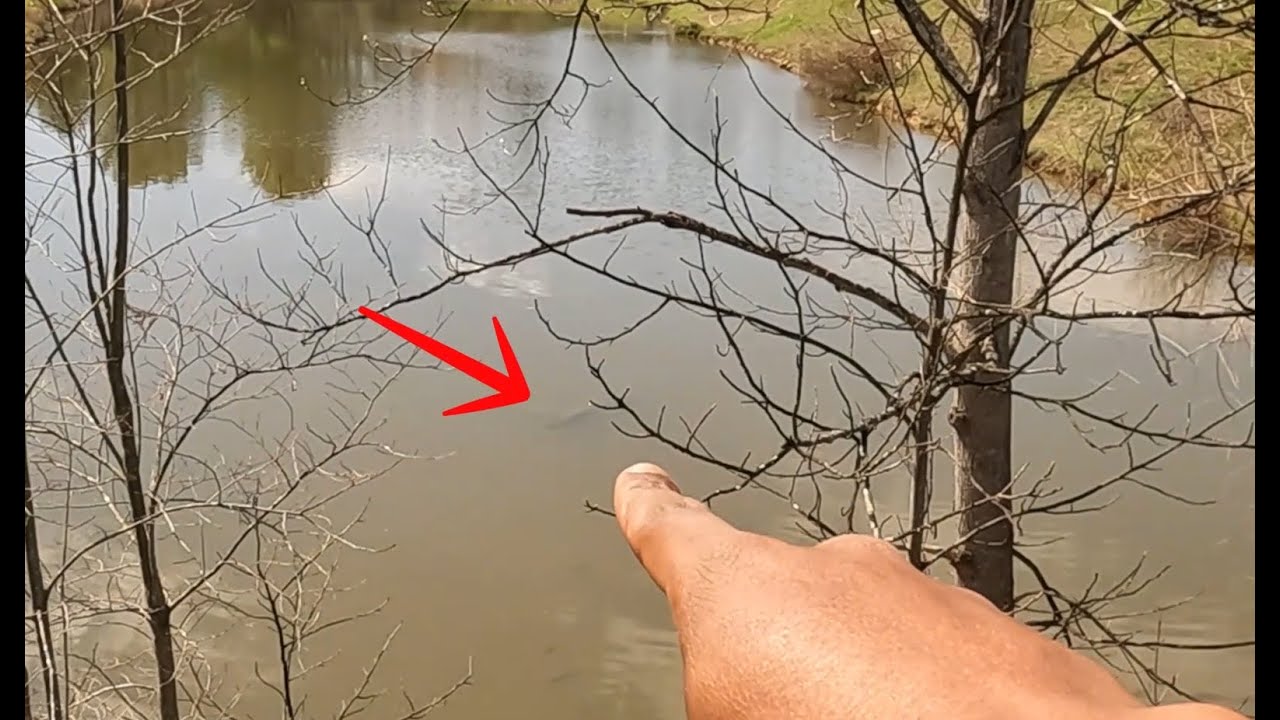 Does The Moon Effect The BASS? (Fishing During the Eclipse)
