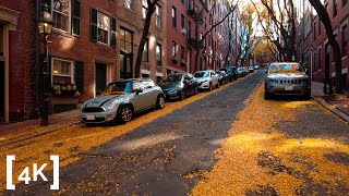 Relaxing walk at Beacon Hill - Boston, MA - Fall Leaves ASMR