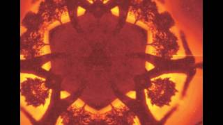 Video thumbnail of "Boards Of Canada - 1969"