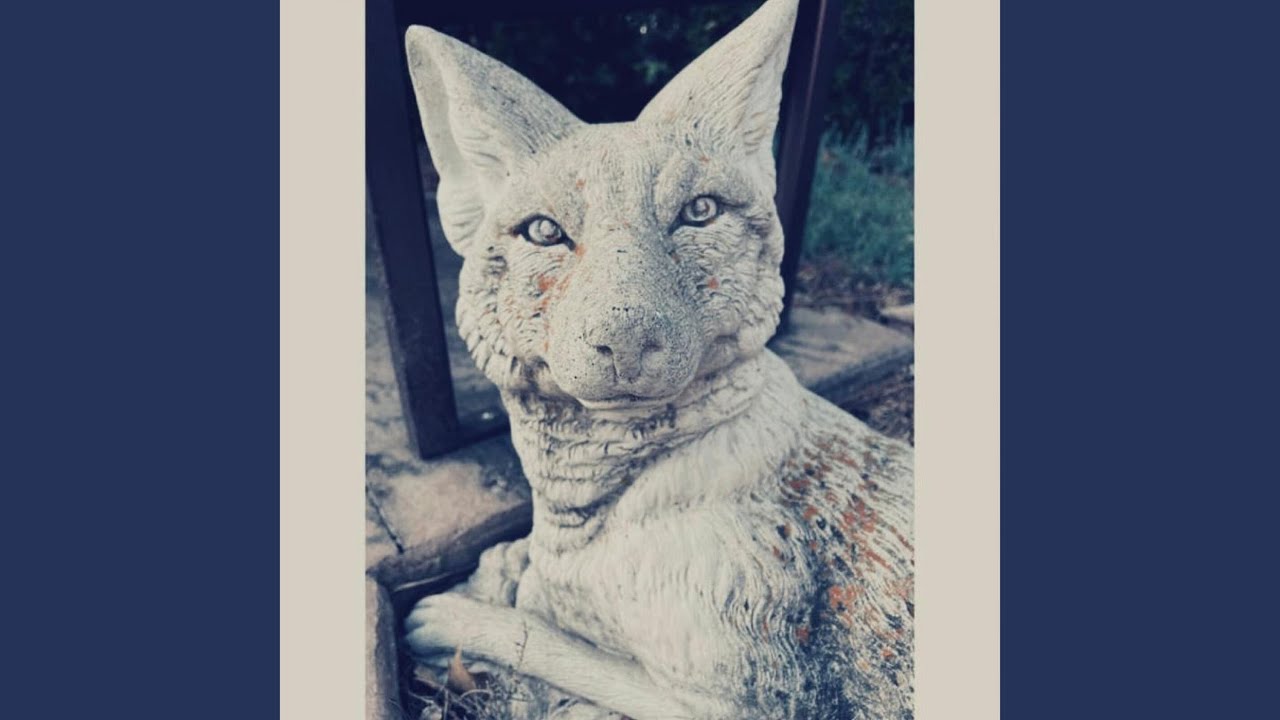 Watch Mscl on YouTube Watch Mscl on YouTube