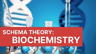 Schema Theory: BIOCHEMISTRY | Episode 20 | STOP MOTION ENGLISH