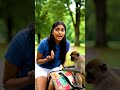 #shorts #trend #viral #monkey #mobile #motivation #ai #yt #reels#bandar #monkey #funny