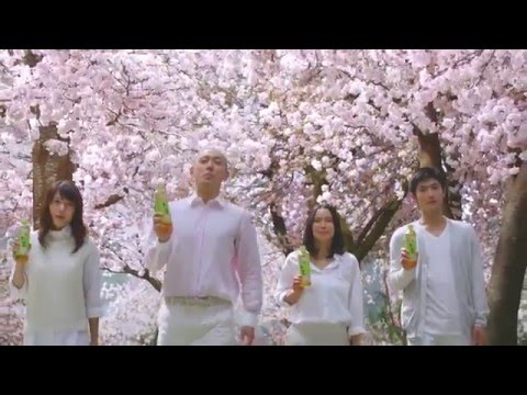 伊藤園　おーいお茶　「春、さくら」篇