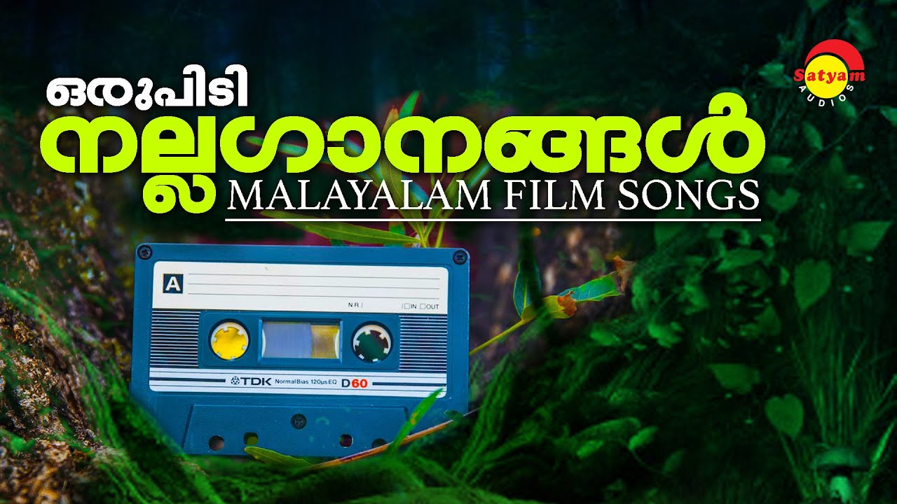    Malayalam FIlm Songs  Satyam Audios