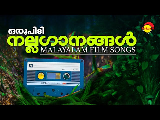 ഒരുപിടി നല്ലഗാനങ്ങൾ | Malayalam FIlm Songs | Satyam Audios class=