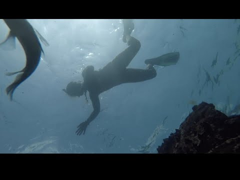 E43: Caves, Free Diving, and Beach Cows! Oh my