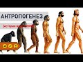 Антропогенез. История вида Homo