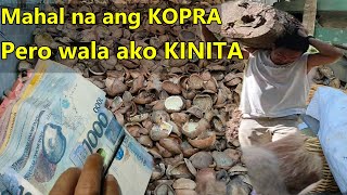 Part 3: KOPRA:Paano at Magkano ang Kikitain?Gaano Kahirap Mag-Kopra?#buhayprobinsya #buhaybukid