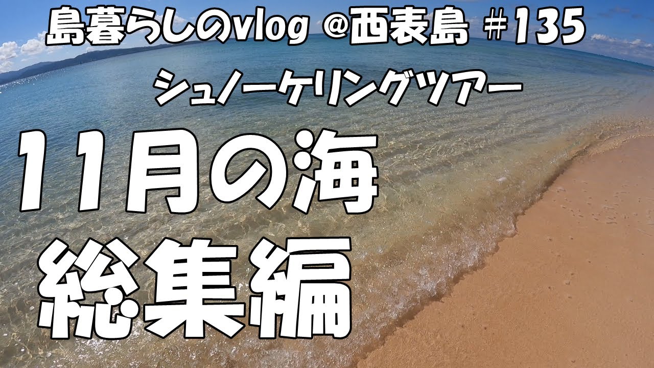 【西表島での日常】11月のシュノーケリングツアー総集編/バラス島/鳩間島/Snorkeling tour in Iriomote Island