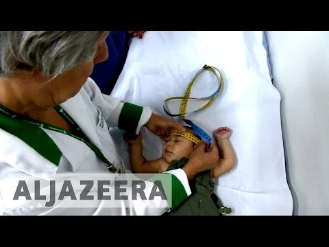 Video: Zika-virus - Oireet, Zika-viruksen Kantaja